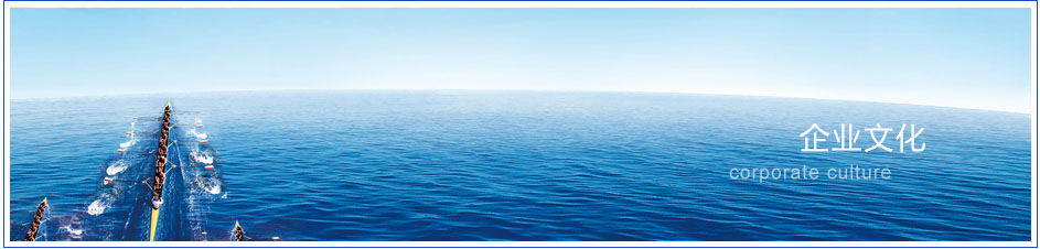 安徽安大華泰新材料有限公司企業(yè)文化