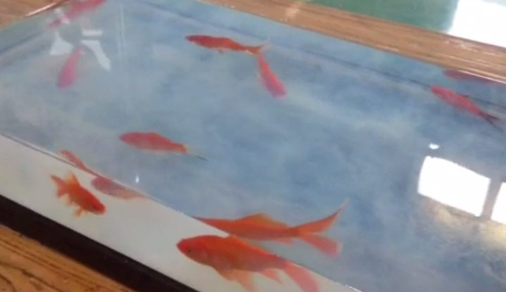 水性聚氨酯樹(shù)脂養(yǎng)金魚(yú) 水性聚氨酯樹(shù)脂養(yǎng)金魚(yú)