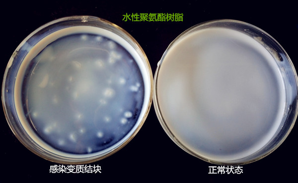 水性聚氨酯樹脂受微生物的影響結(jié)果對比，水性樹脂