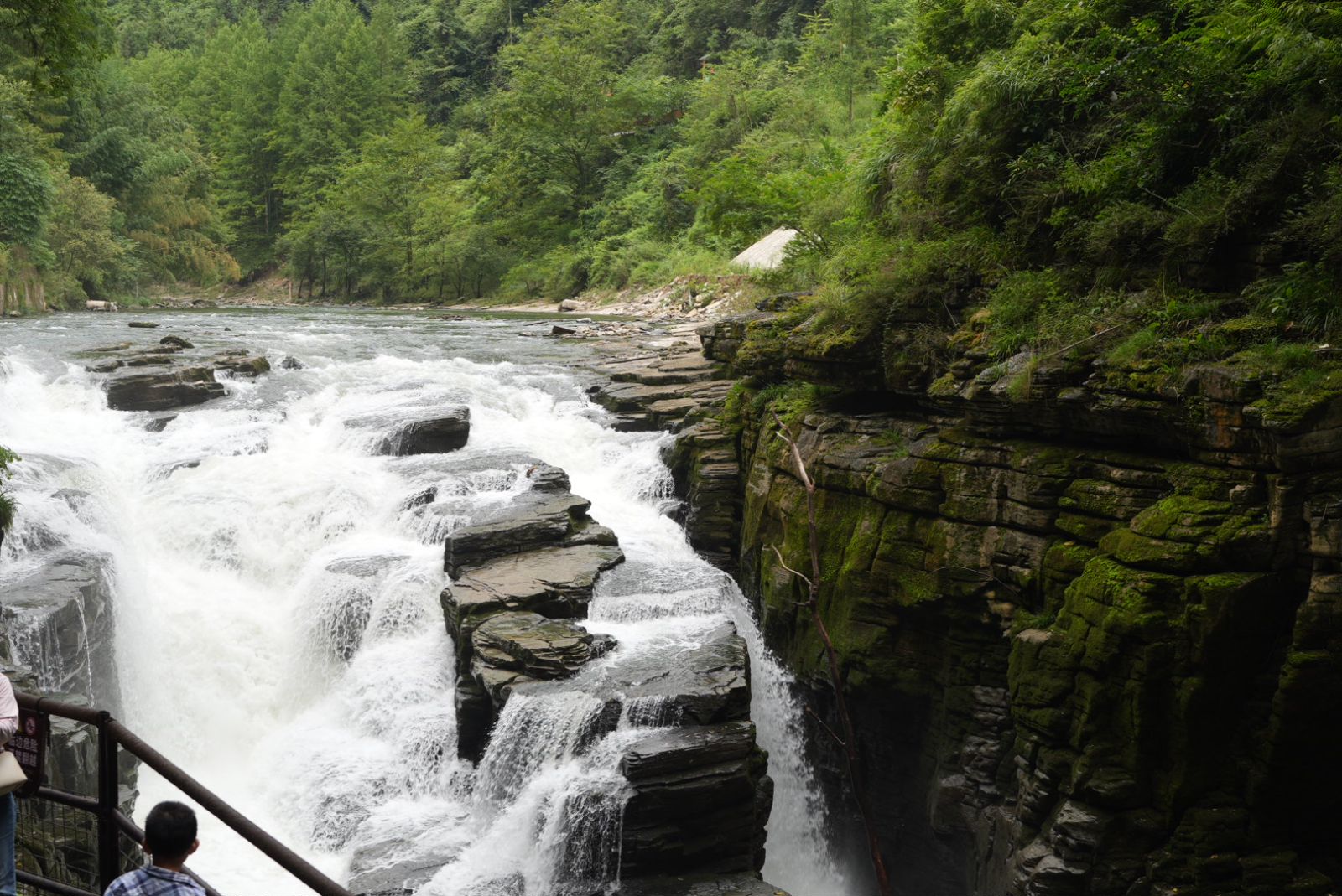 達威華泰騰龍洞 達威華泰騰龍洞